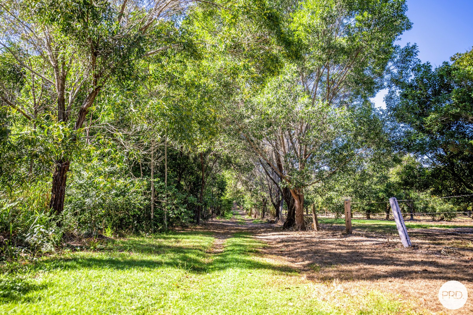 31 Wreck Rock Road DEEPWATER QLD 4674