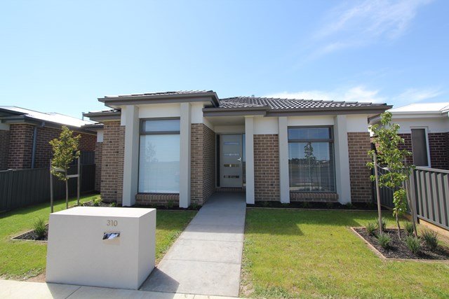310 Cuthberts Road Lucas 1