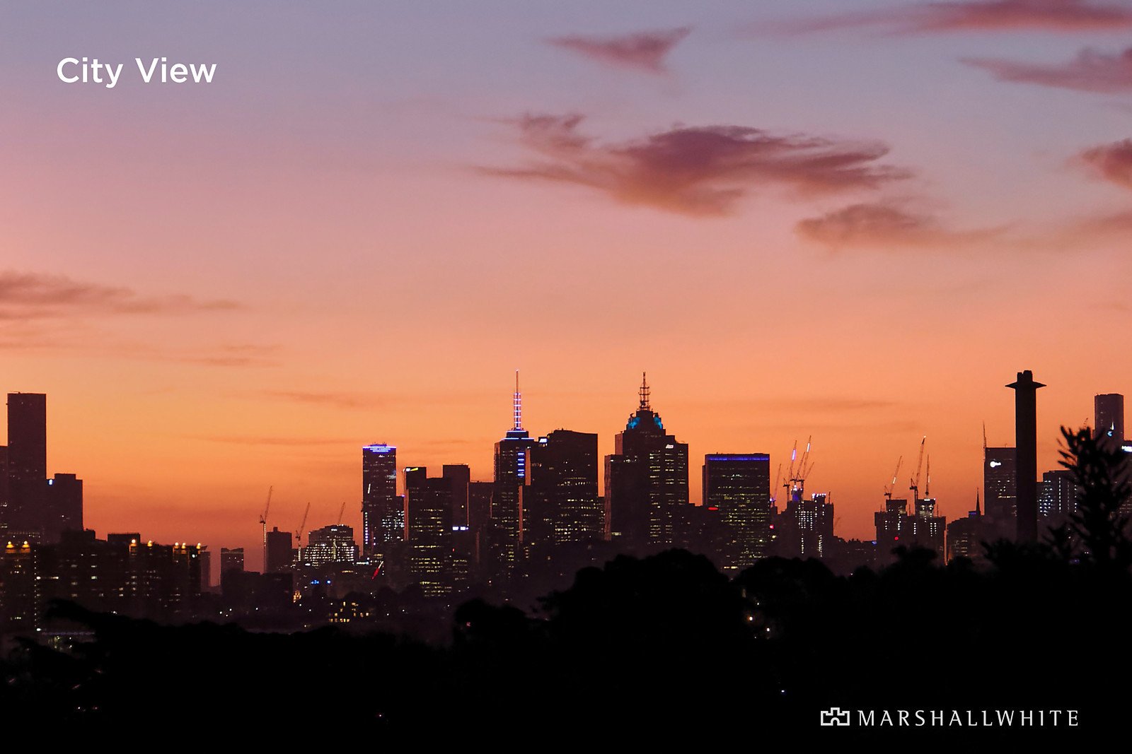 3/10 Hyton Crescent, Kew, VIC