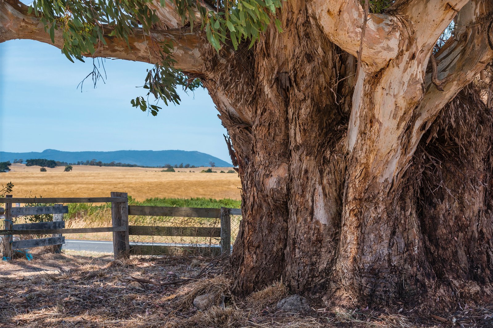Real Estate and Property in 310 Kyneton-Springhill Road, Kyneton, VIC