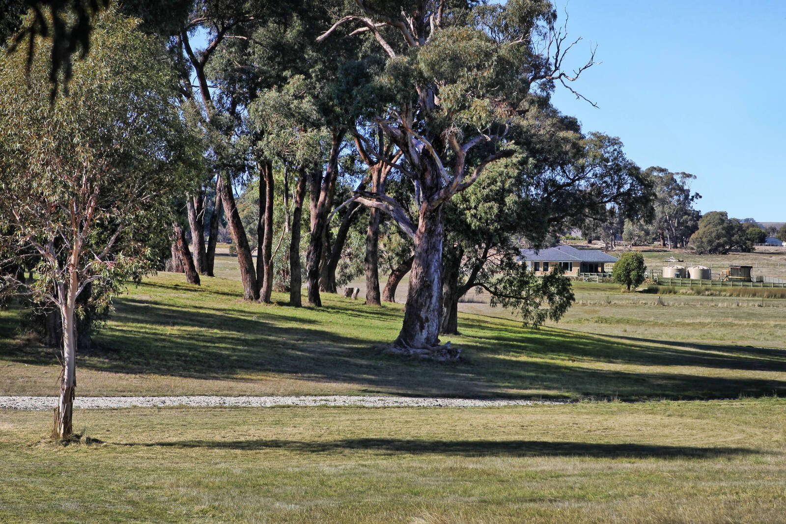 Real Estate and Property in 310 Lancefield-Tooborac Road, Lancefield, VIC