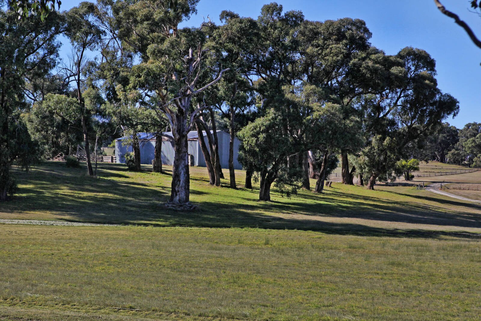 Real Estate and Property in 310 Lancefield-Tooborac Road, Lancefield, VIC