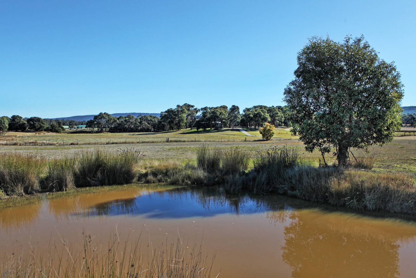 Real Estate and Property in 310 Lancefield-Tooborac Road, Lancefield, VIC