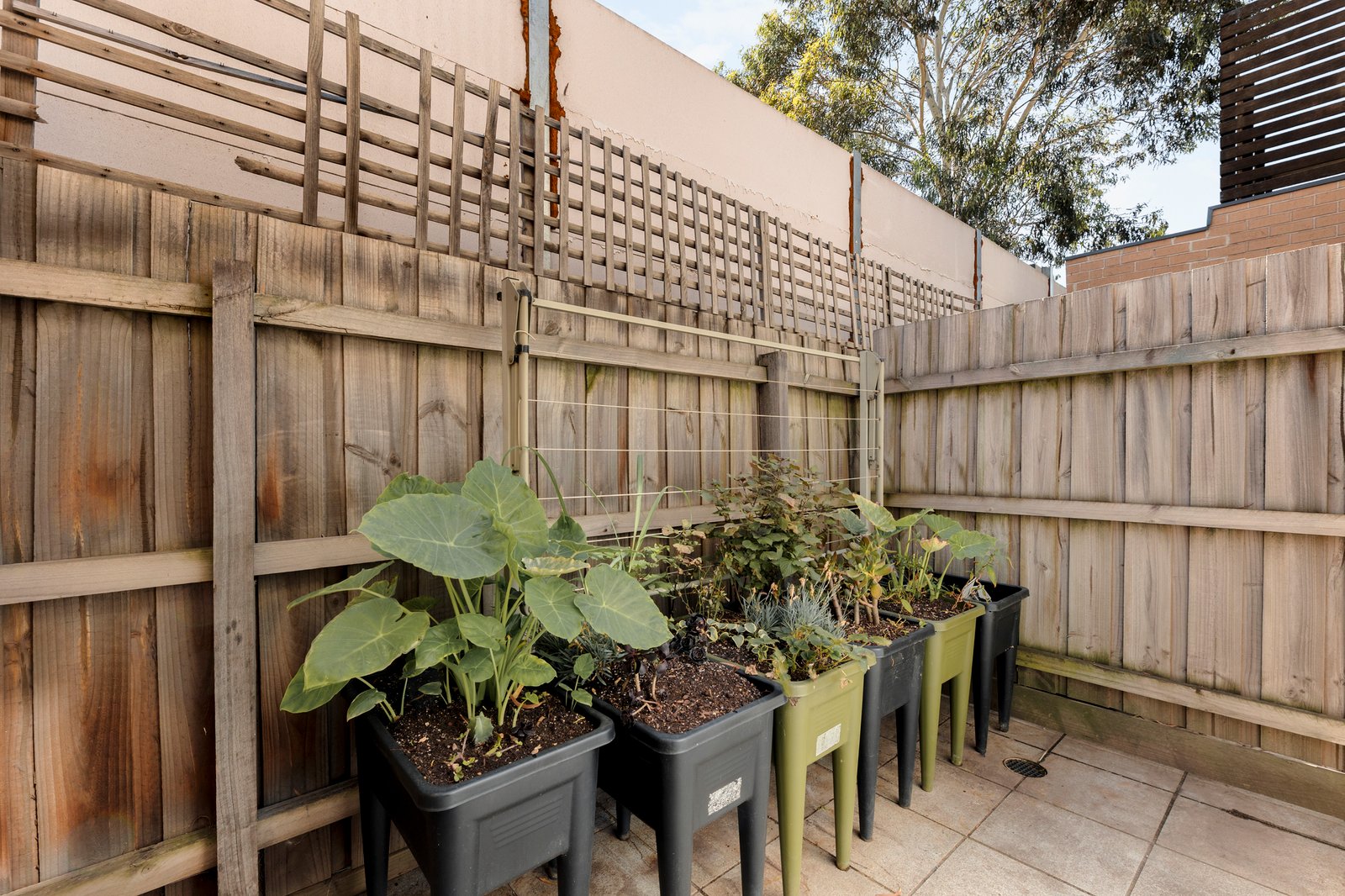 Real Estate and Property in 3/10 Osborne Grove, Preston, VIC