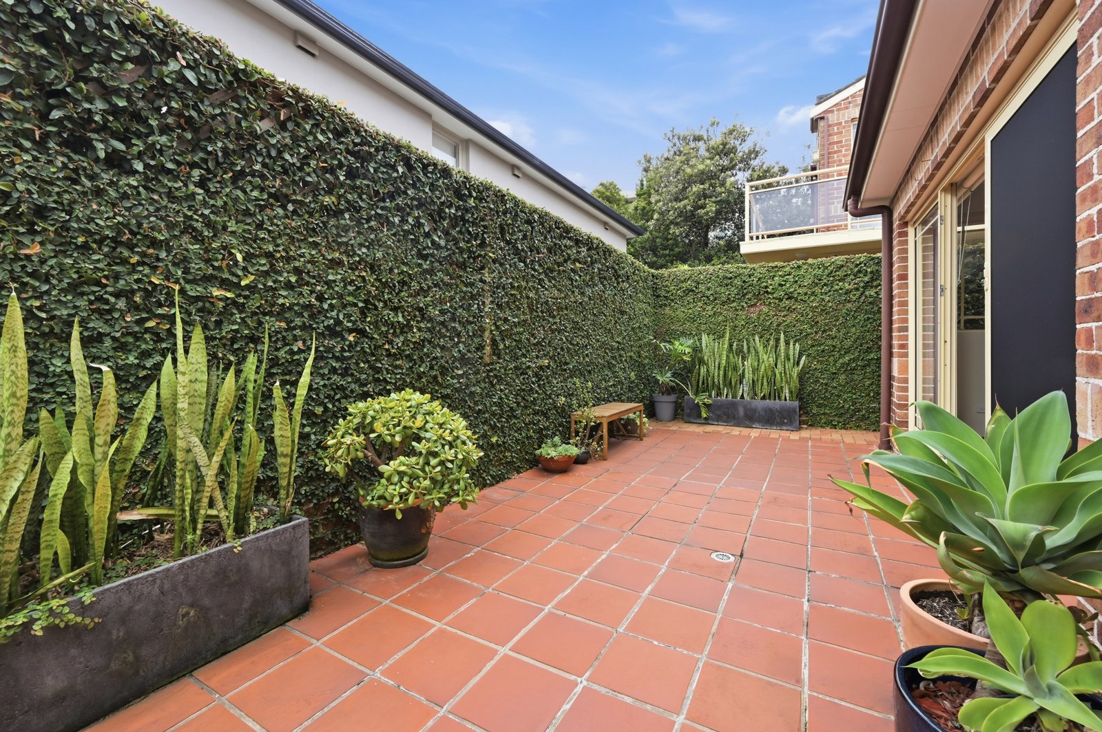 3/102 Carrington Road WAVERLEY 3