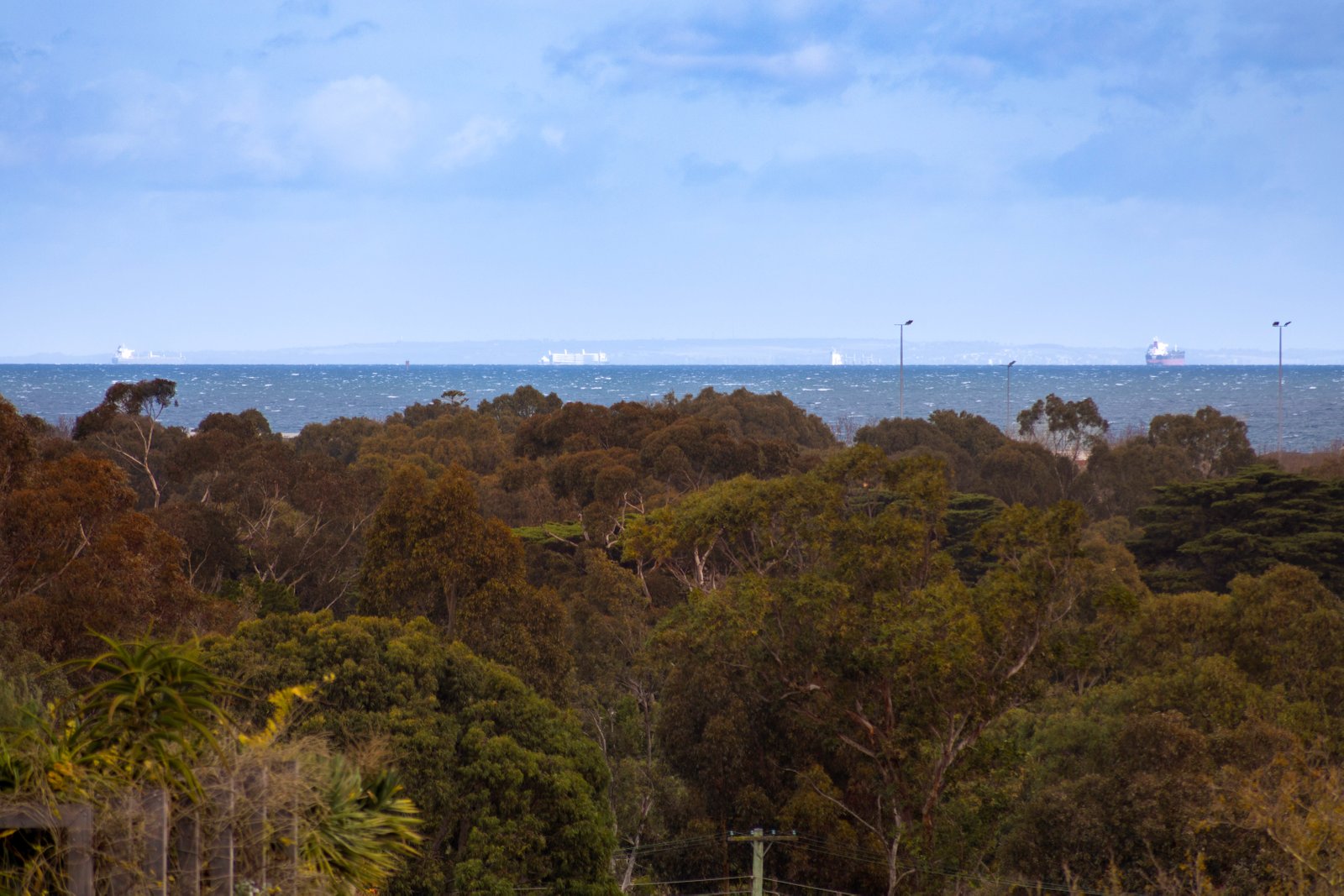 Real Estate and Property in 310/241 Glen Huntly Road, Elsternwick, VIC