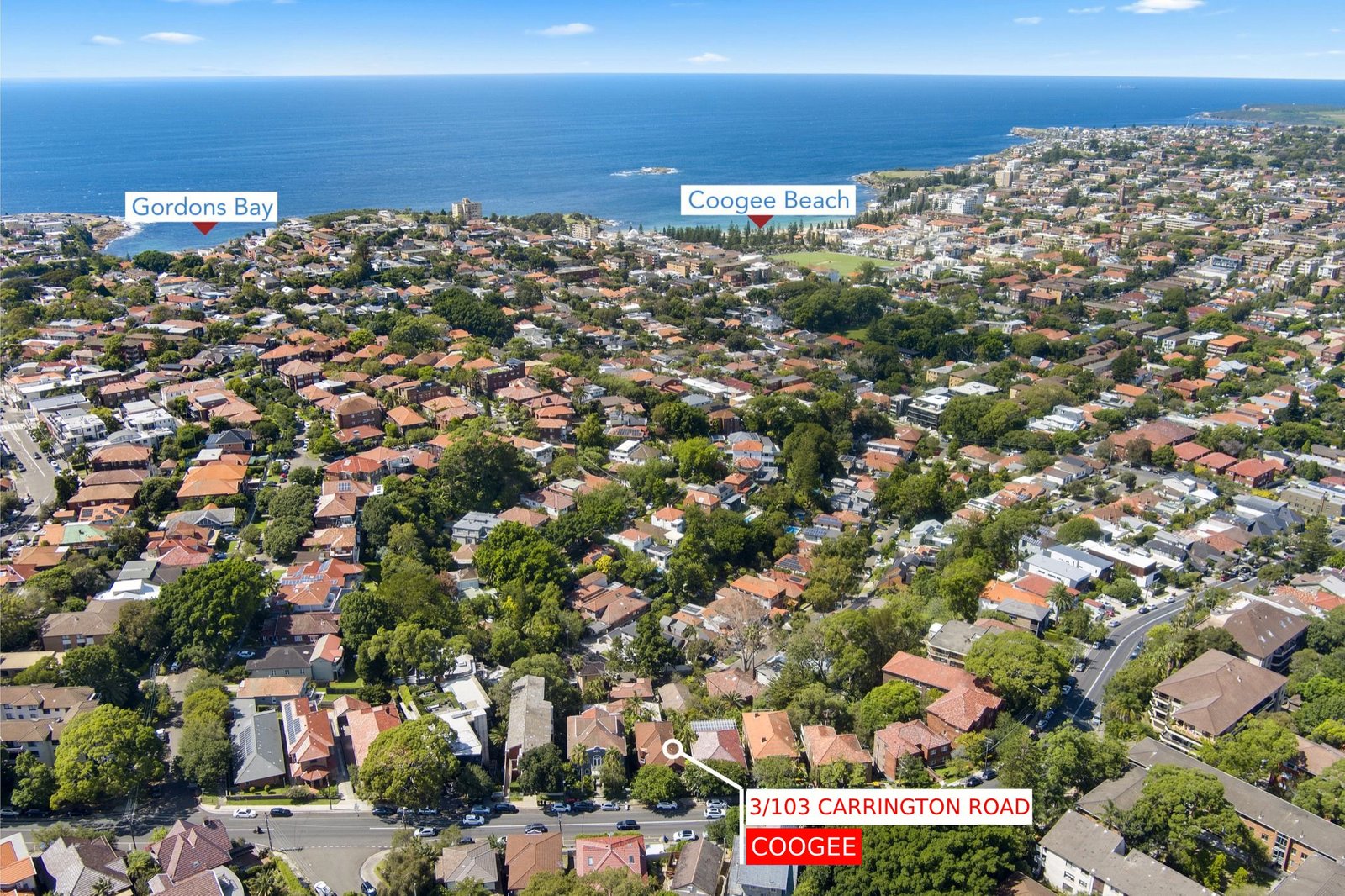 3/103 Carrington Road COOGEE 7