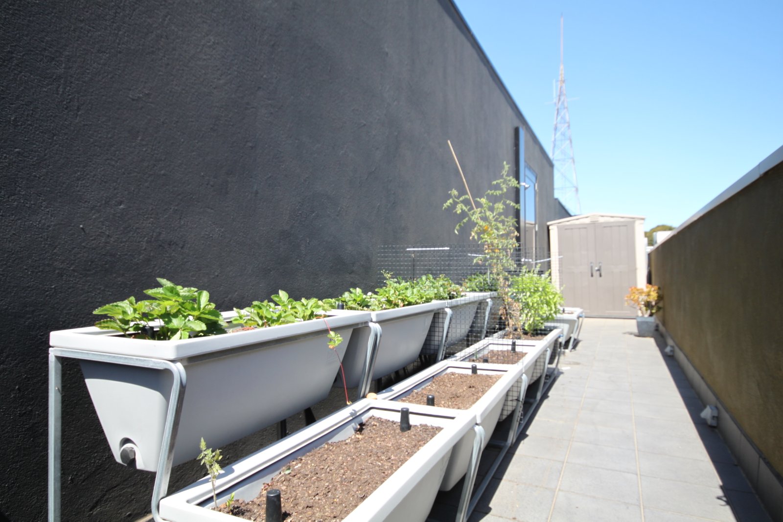 Gallery: 310/63 Acland Street