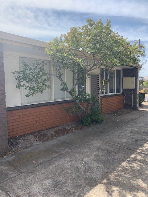Gallery: 3/11 Argyle Avenue