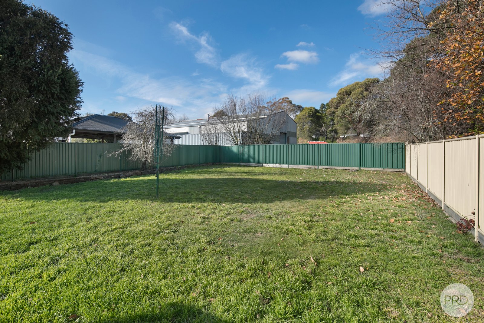 311 Larter Street CANADIAN 2