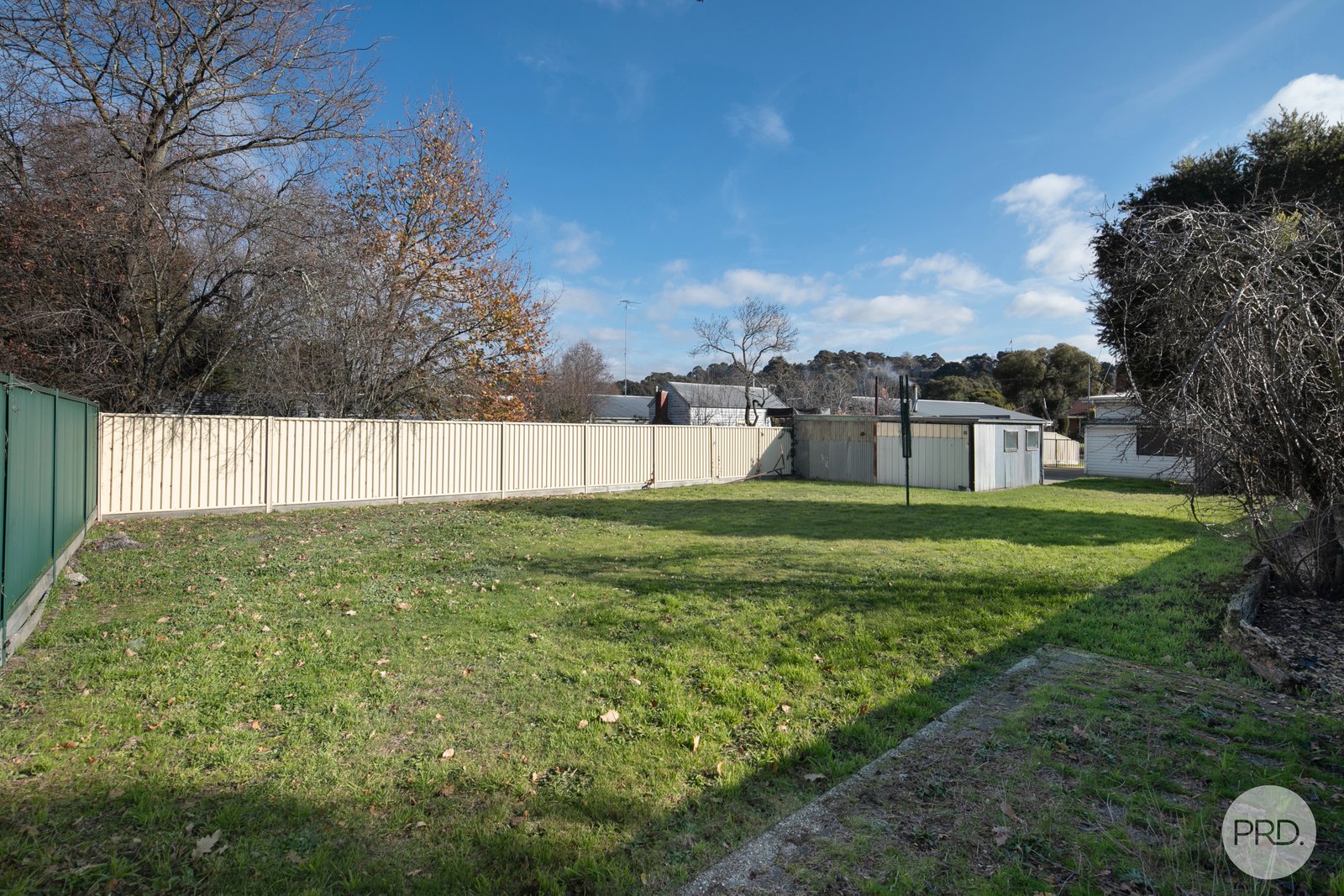 311 Larter Street CANADIAN 3