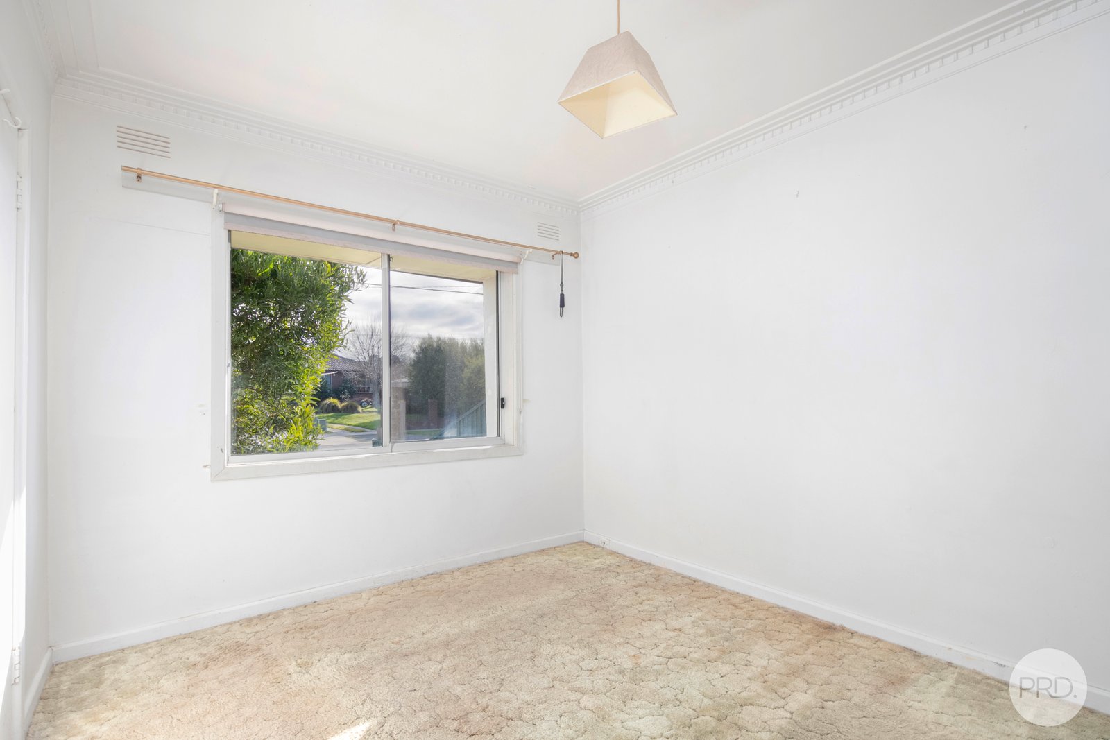 311 Larter Street CANADIAN 9