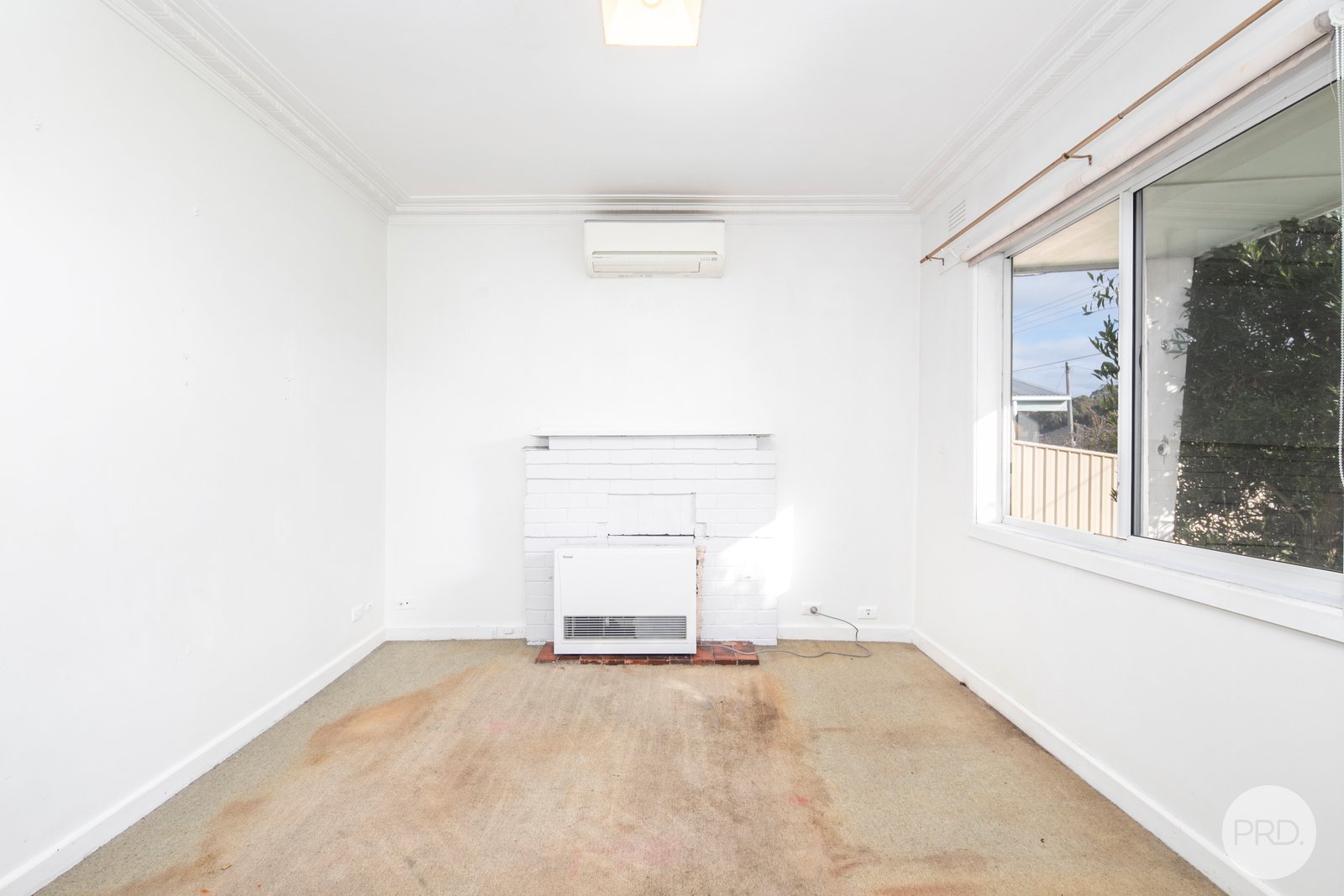 311 Larter Street CANADIAN 10
