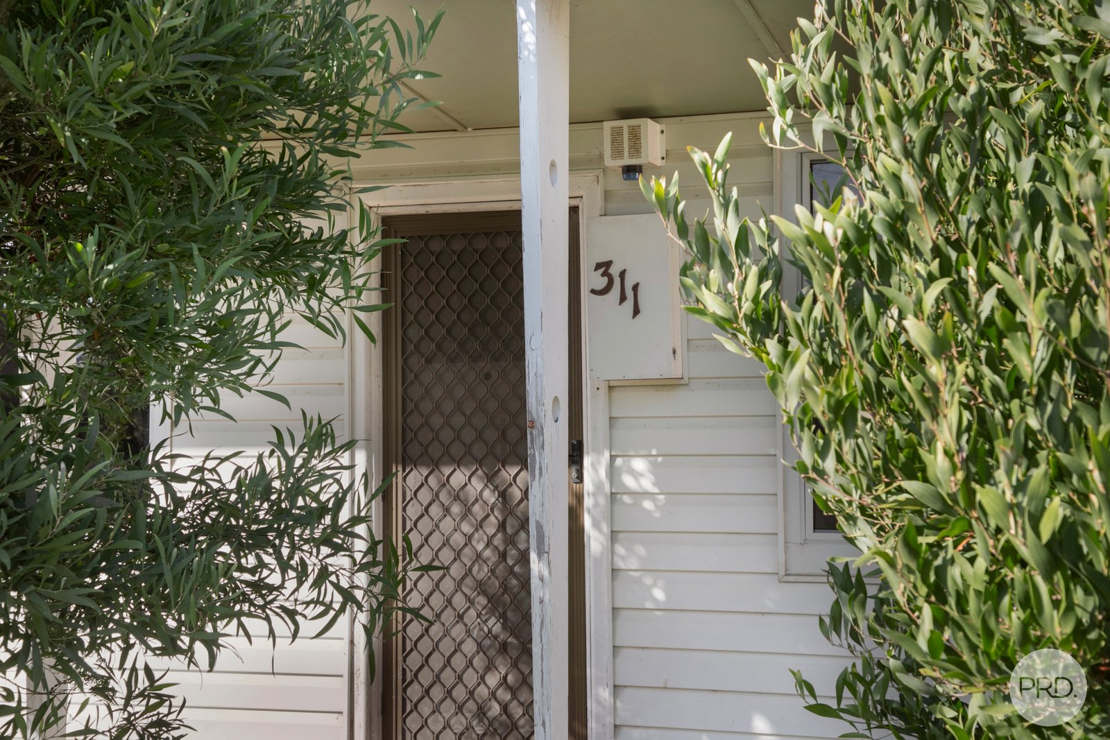 311 Larter Street CANADIAN 11
