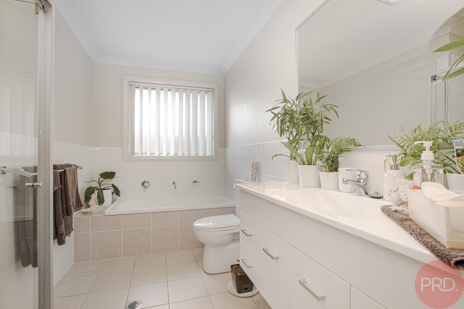 3/11 Windermere Road LOCHINVAR 5