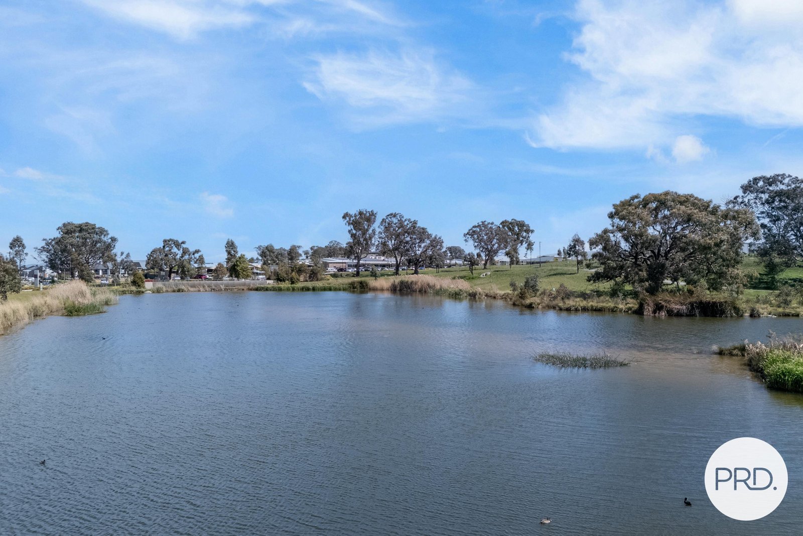 31/10 Margules Crescent TAYLOR 16