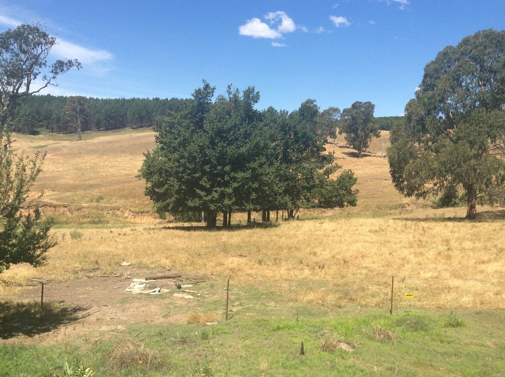 312 Carabost Rd  TUMBARUMBA 2