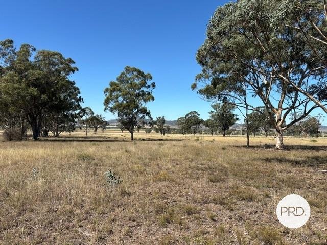 312 Merriwa Road DENMAN 13