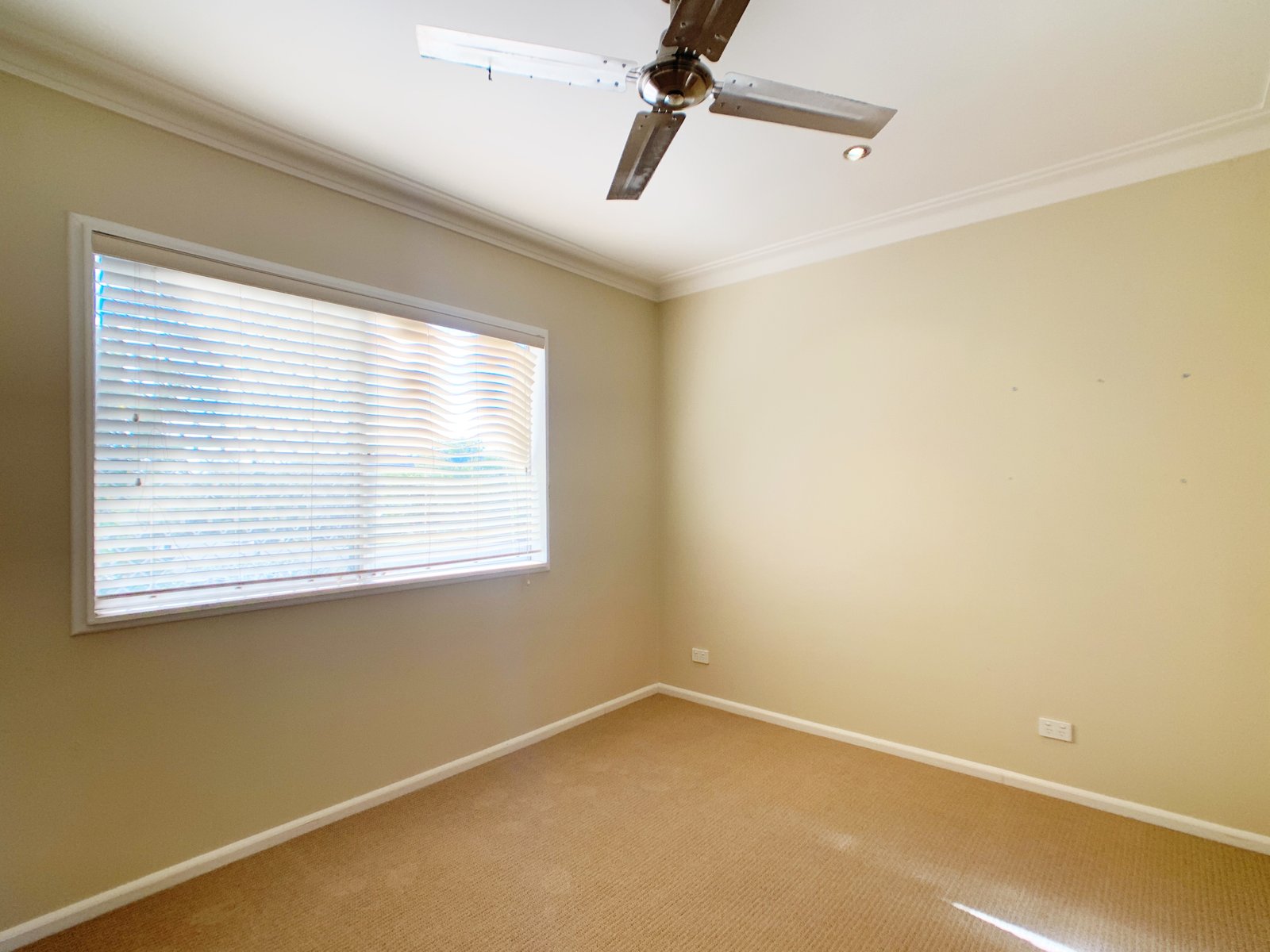 3/123A Upper Street TAMWORTH 5