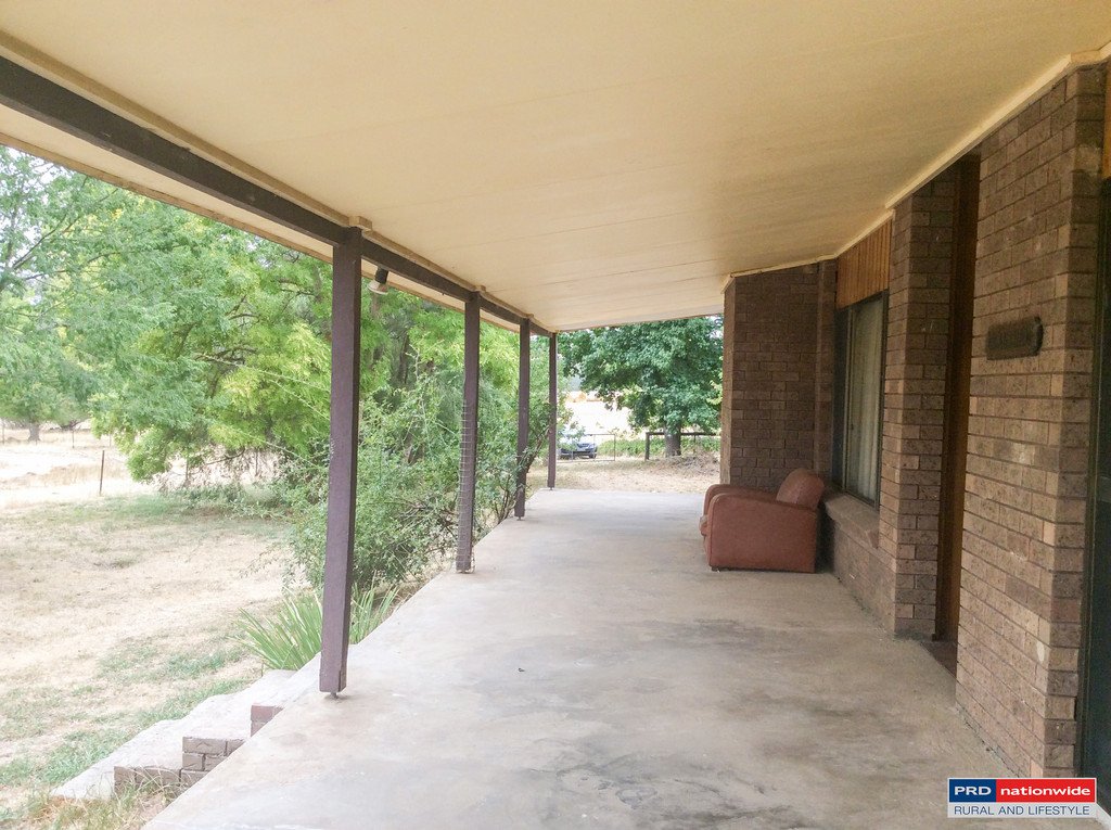 313 Carabost Rd  TUMBARUMBA 1