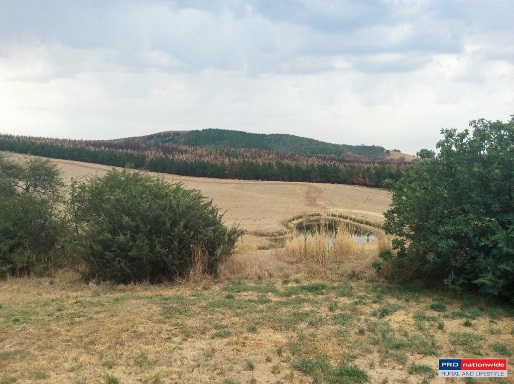 313 Carabost Rd  TUMBARUMBA 2