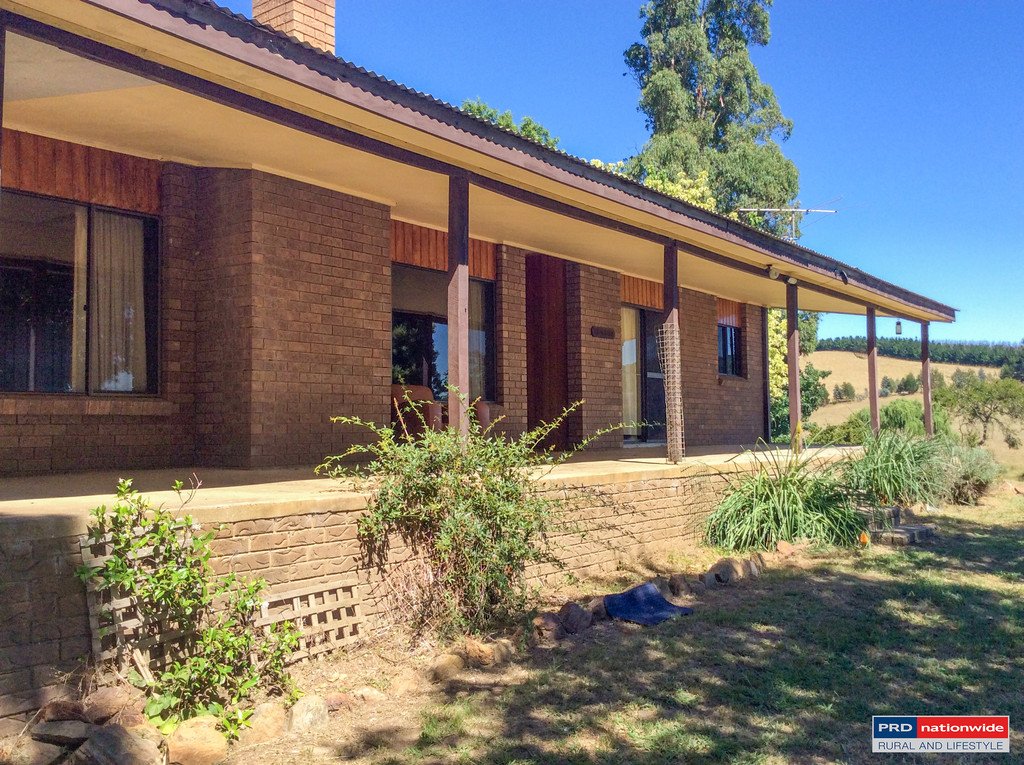 313 Carabost Rd  TUMBARUMBA 4