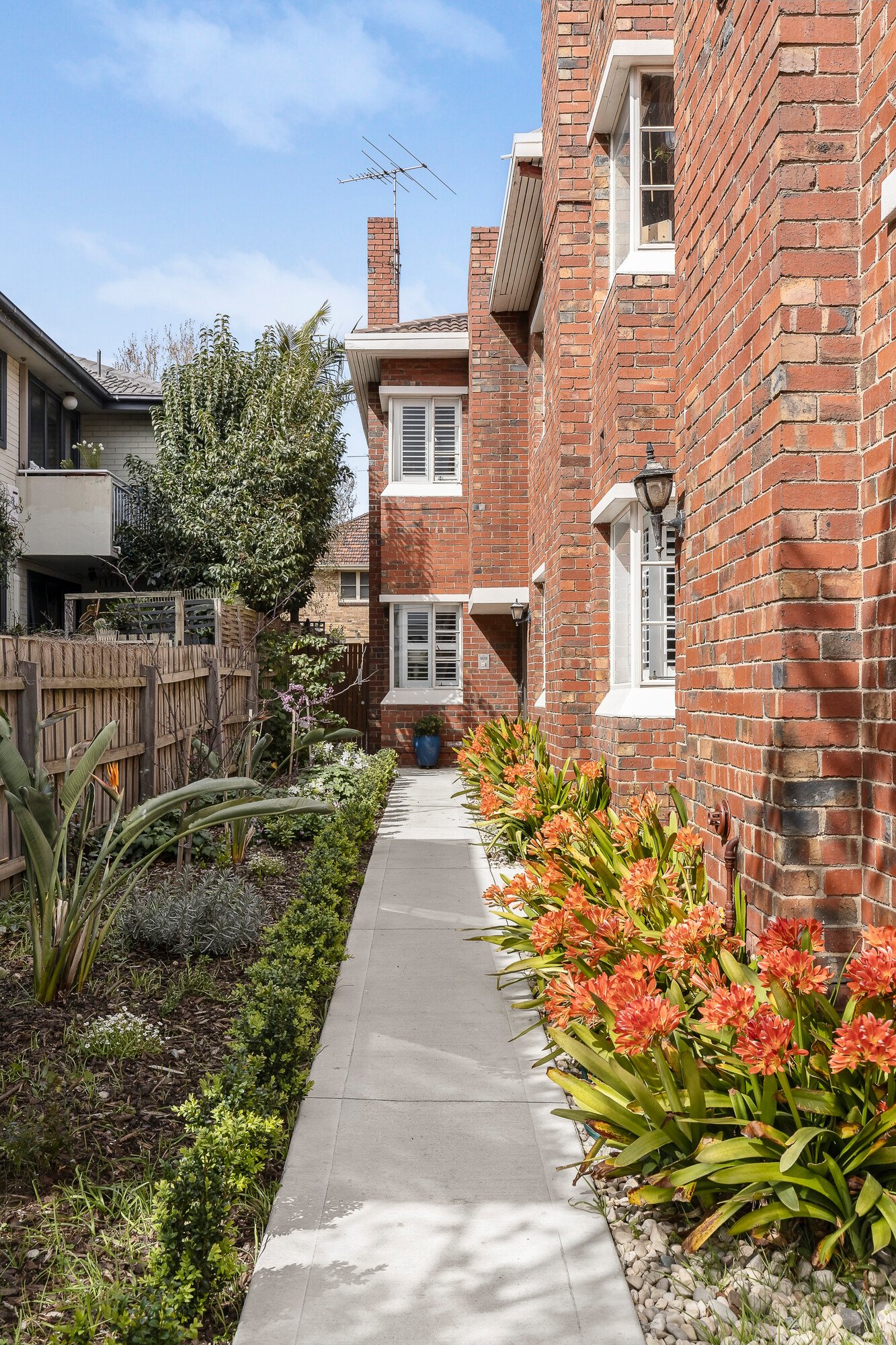 Gallery: 3/13 Mitchell Street