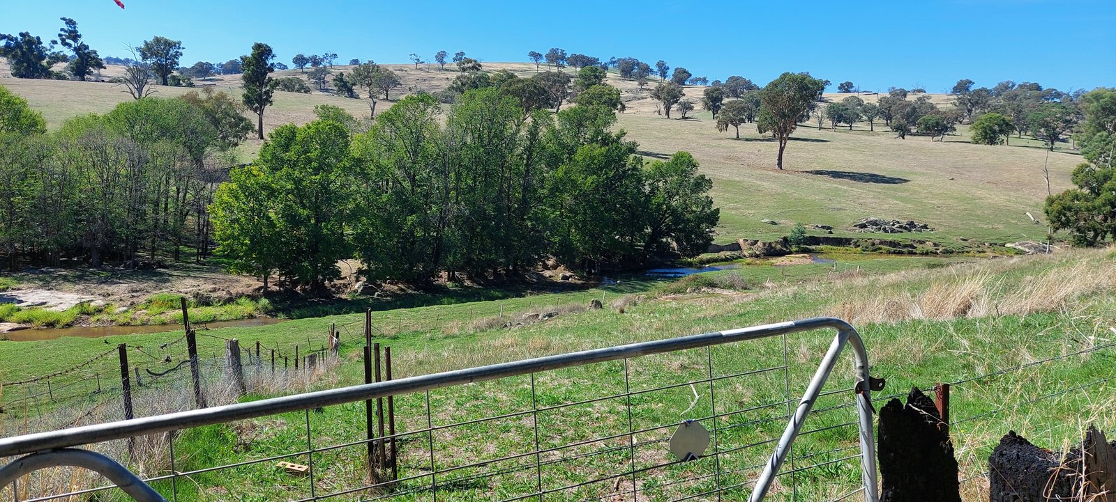 313 Yaven Creek Road YAVEN CREEK 11