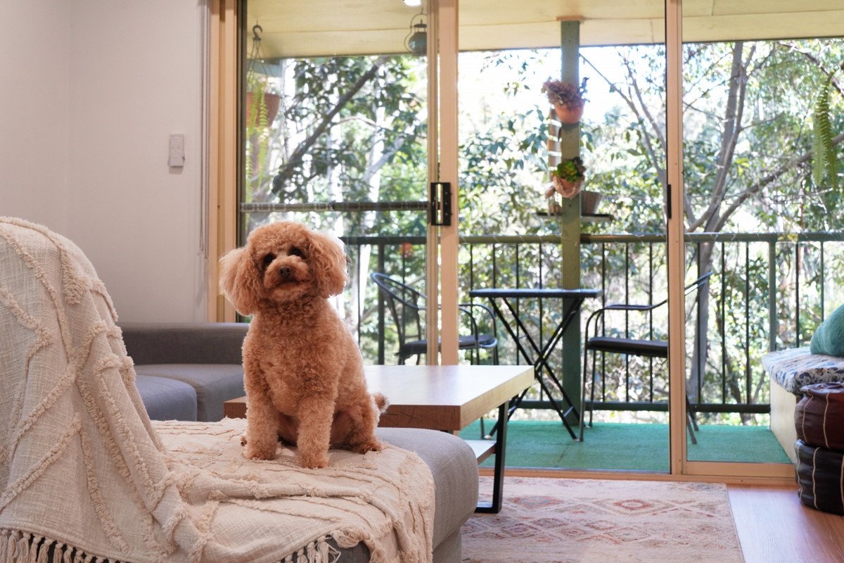 31/31 Simpsons Road Elanora 7