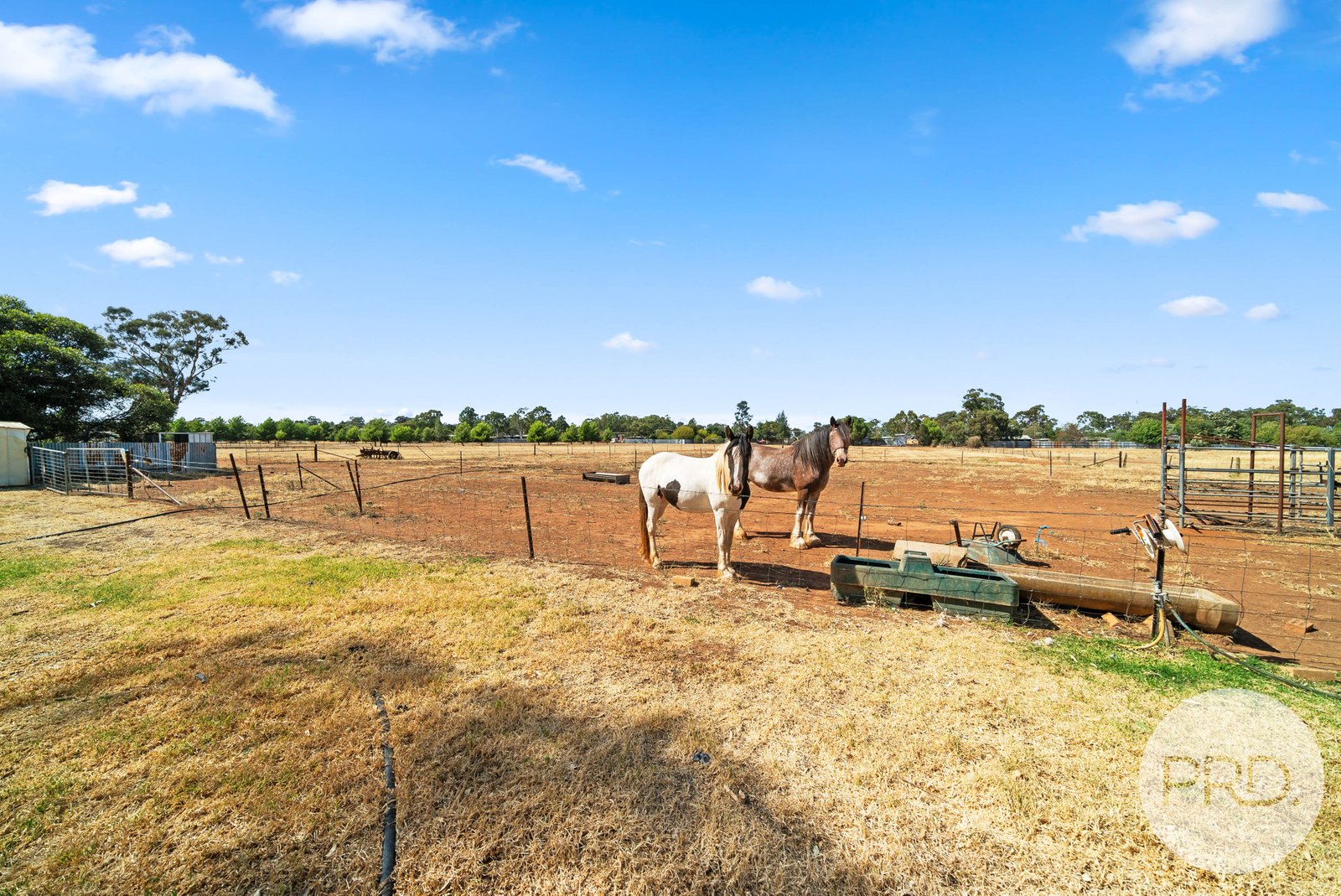 3135 Canola Way COOLAMON 1