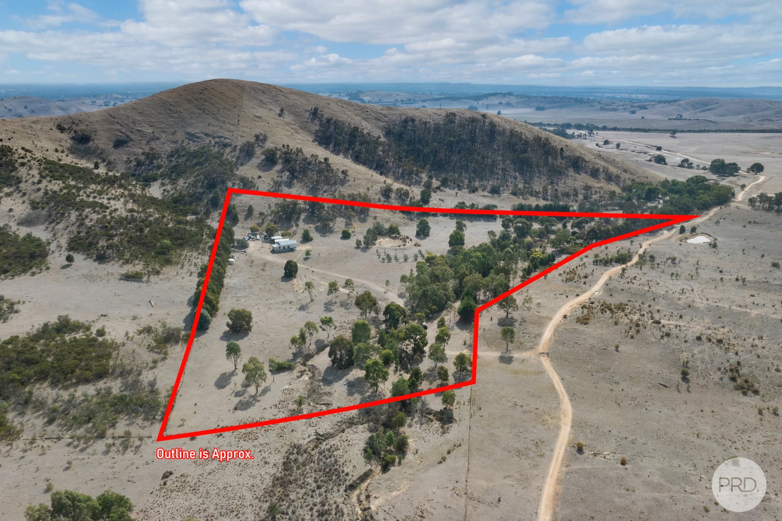 314 Joseph Lane AMPHITHEATRE 1