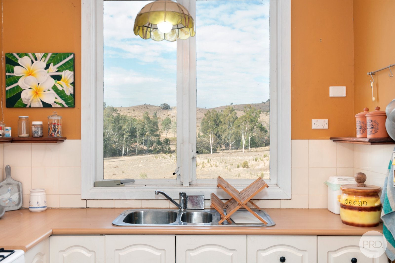 314 Joseph Lane AMPHITHEATRE 4