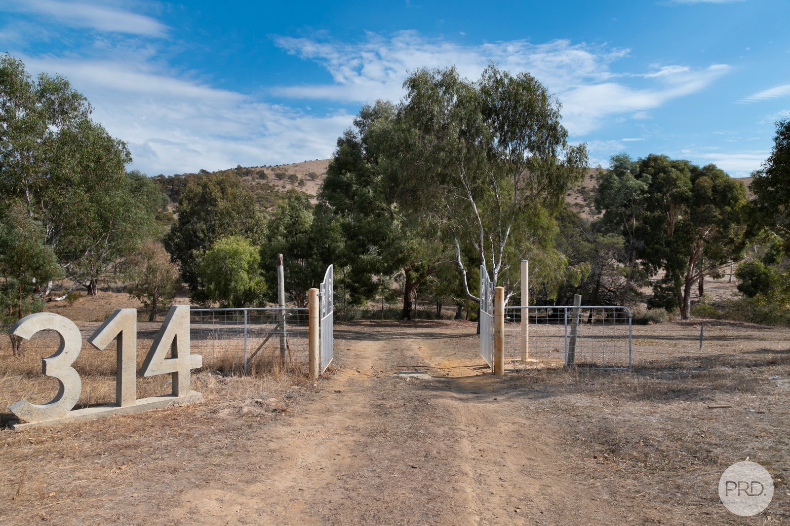 314 Joseph Lane AMPHITHEATRE 15