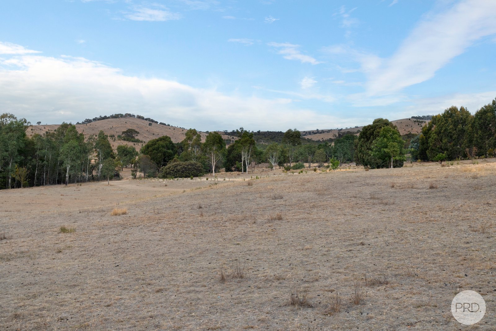 314 Joseph Lane AMPHITHEATRE 16