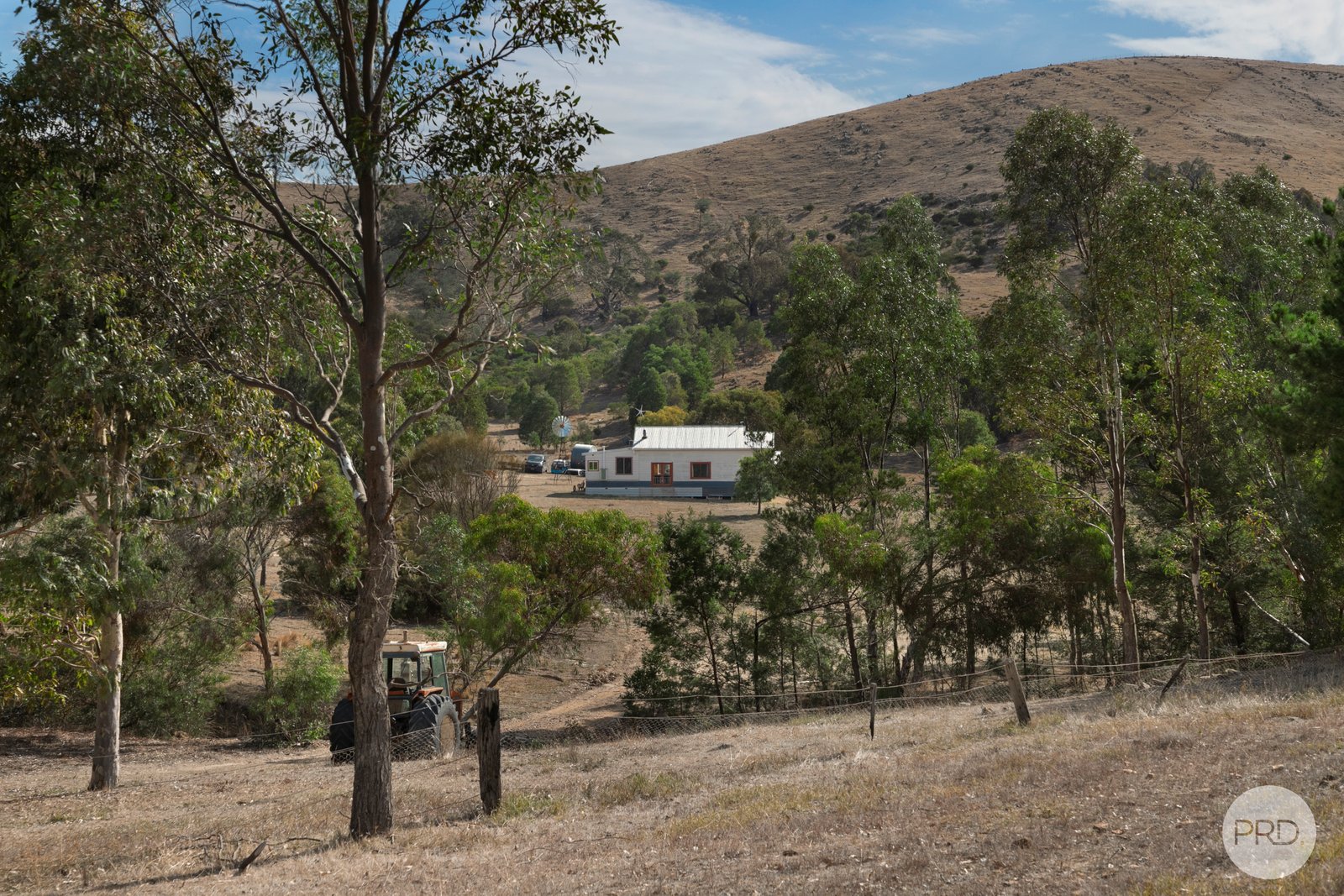 314 Joseph Lane AMPHITHEATRE 17