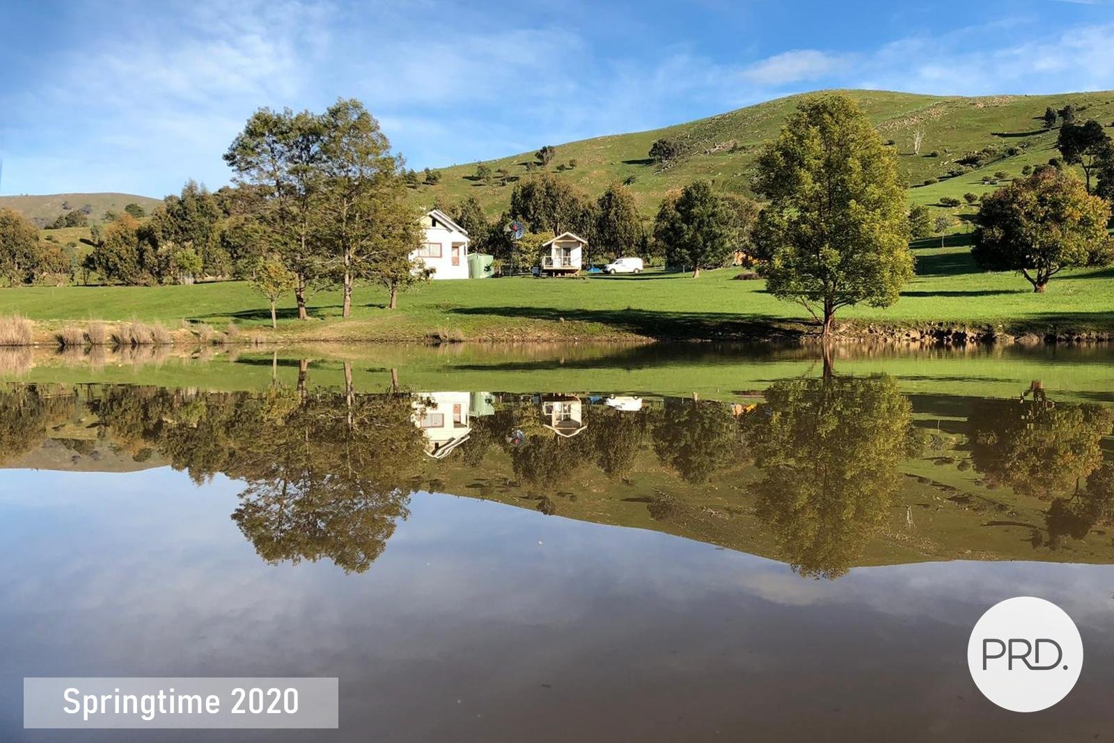 314 Joseph Lane AMPHITHEATRE 19