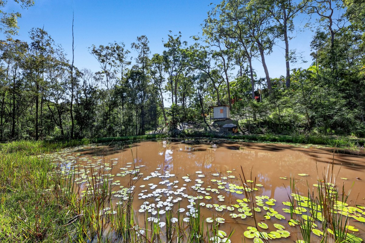 315 Trees Road Tallebudgera 12