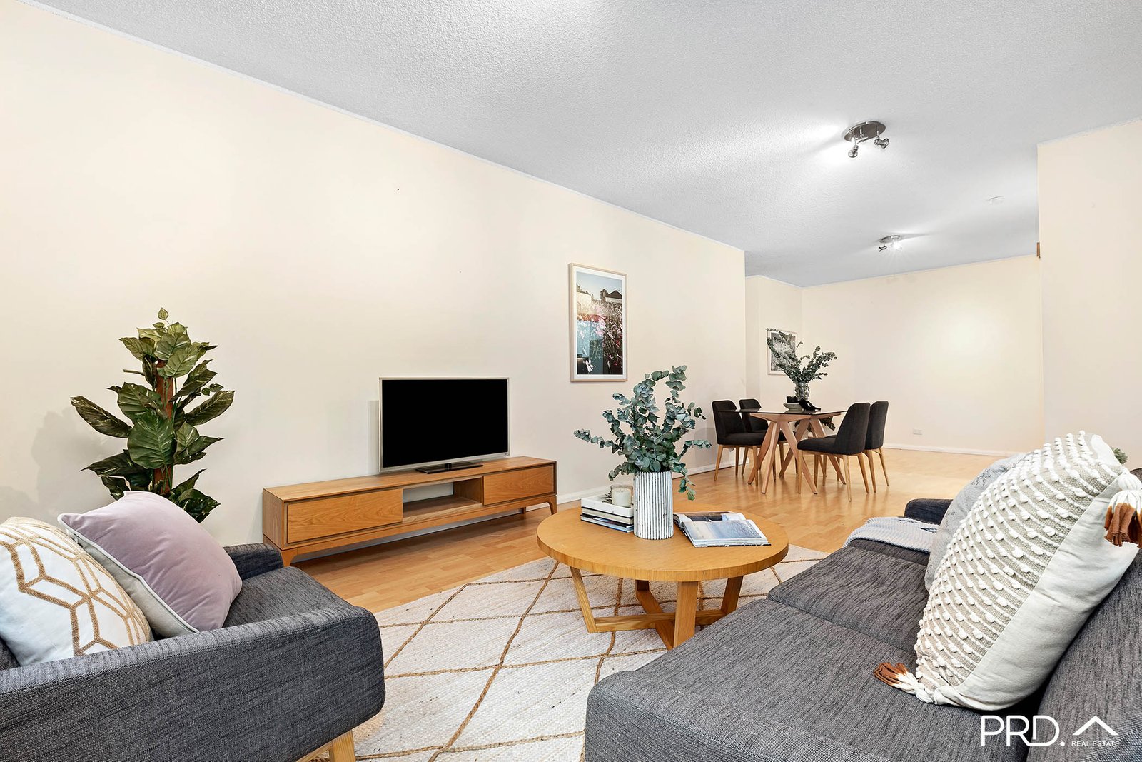 3/154-156 The Grand Parade MONTEREY 2