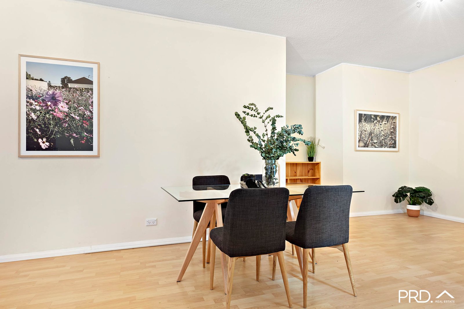 3/154-156 The Grand Parade MONTEREY 5