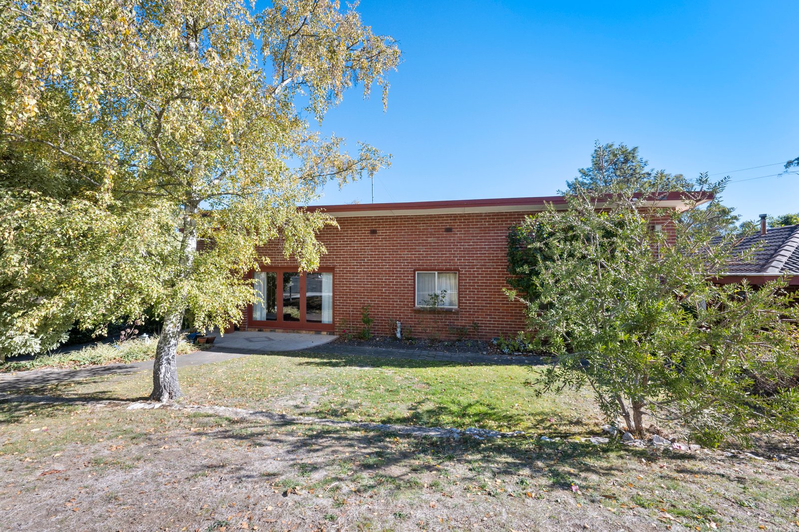 316 Eddy Avenue MOUNT HELEN 1