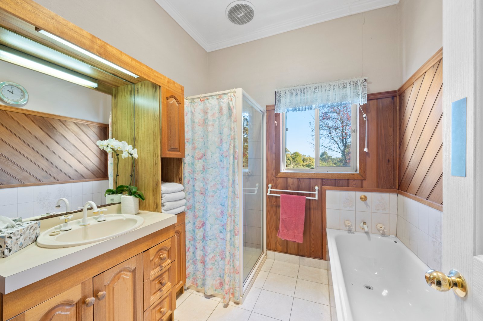 316 Eddy Avenue MOUNT HELEN 13