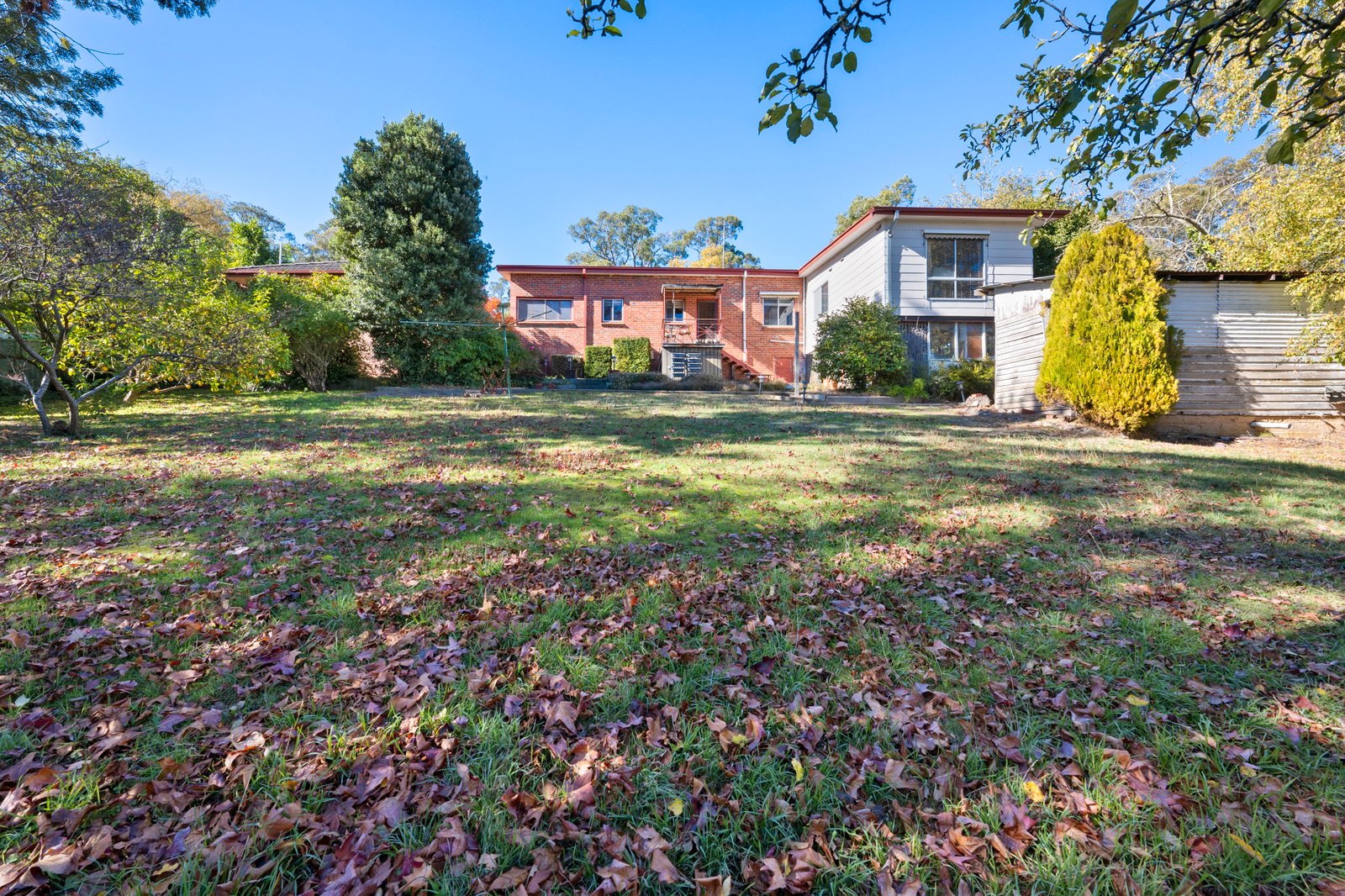 316 Eddy Avenue MOUNT HELEN 14