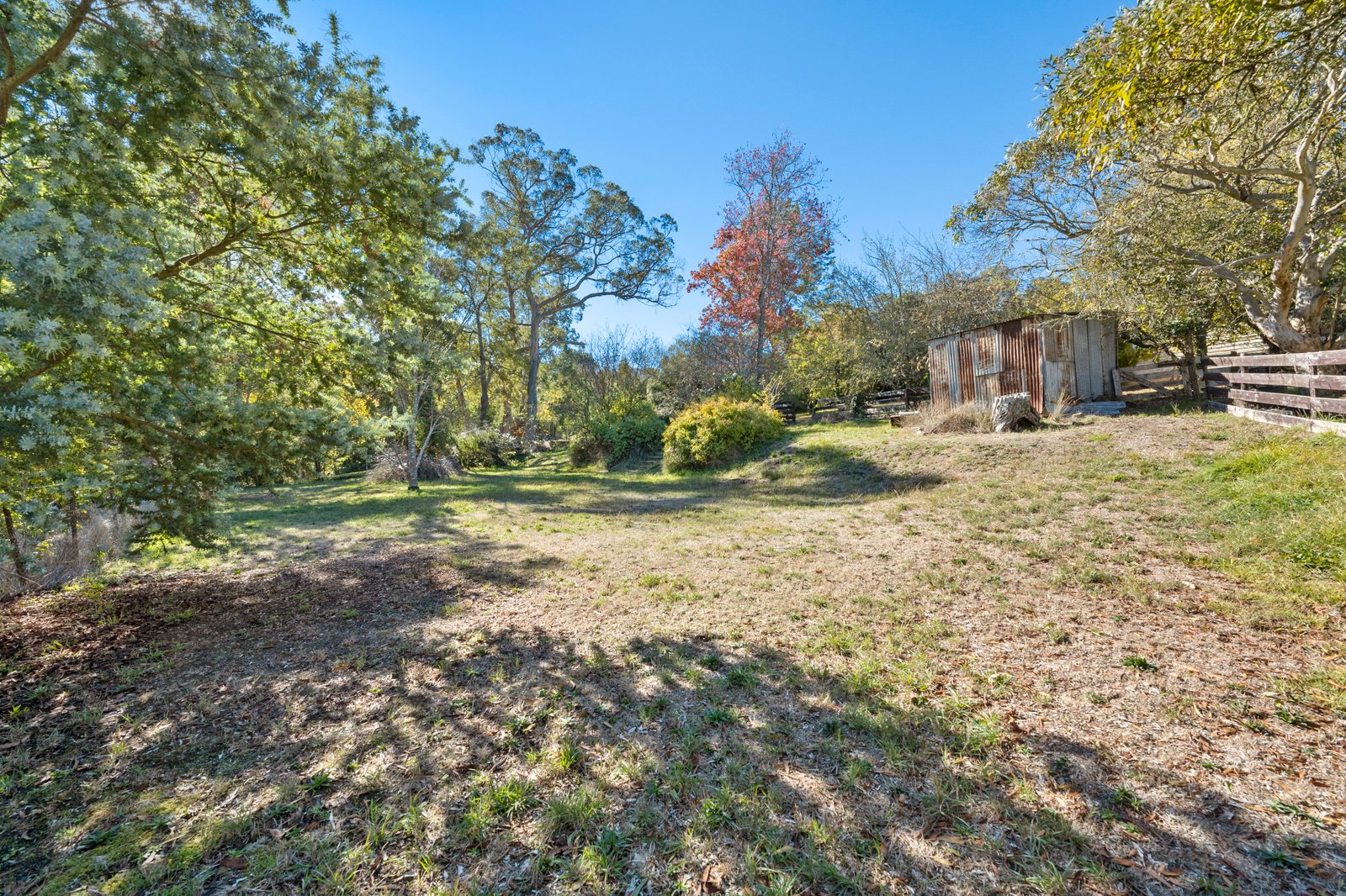 316 Eddy Avenue MOUNT HELEN 16