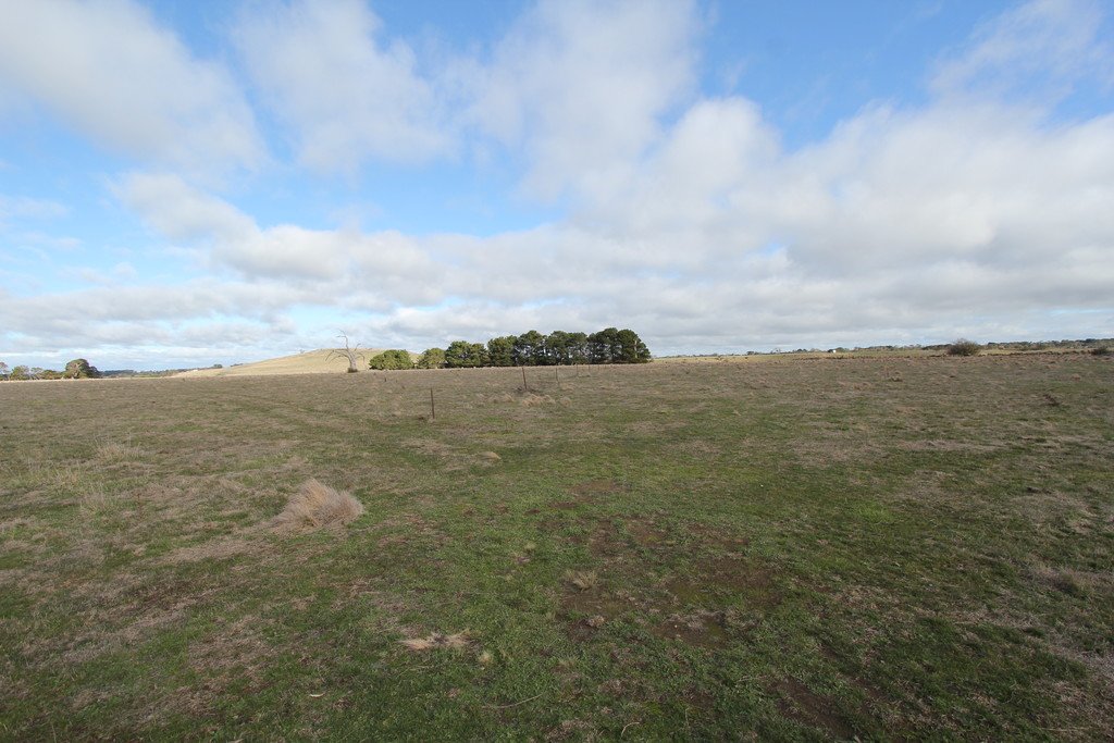 316 Monteville Lane BALLAN 2