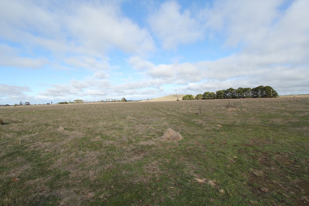 316 Monteville Lane BALLAN 3