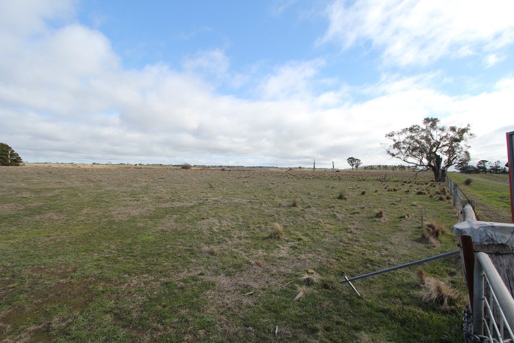 316 Monteville Lane BALLAN 4