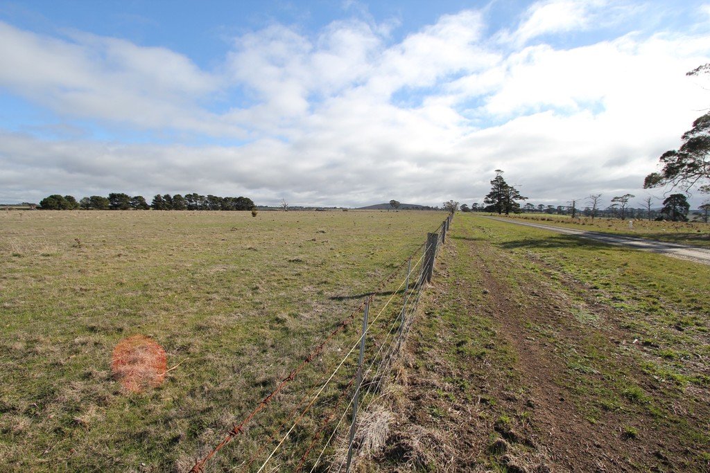 316 Monteville Lane BALLAN 5