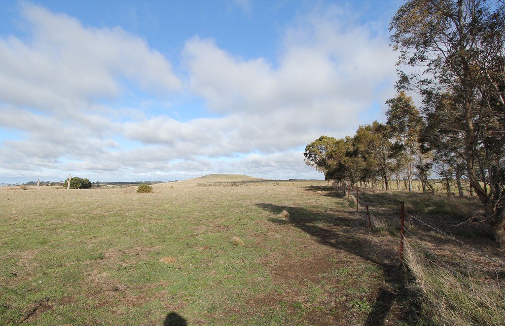 316 Monteville Lane BALLAN 7