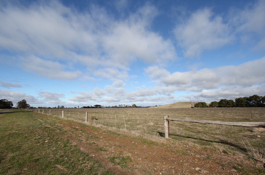 316 Monteville Lane BALLAN 8