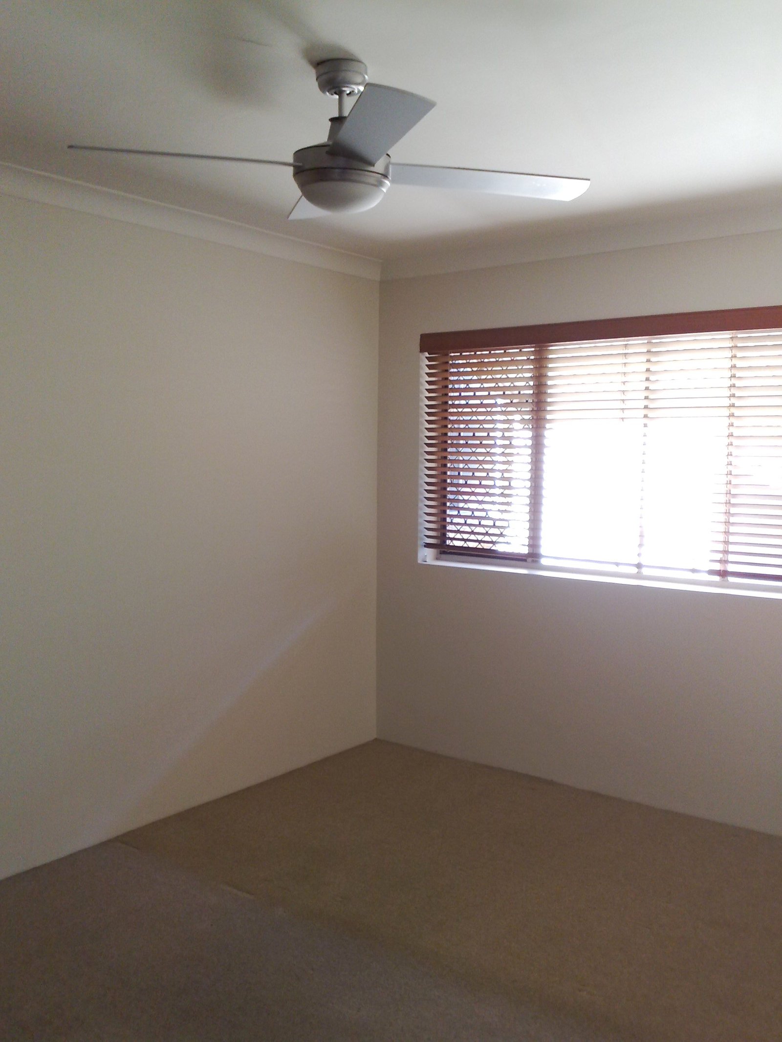 3/16 Riverton Street CLAYFIELD 5